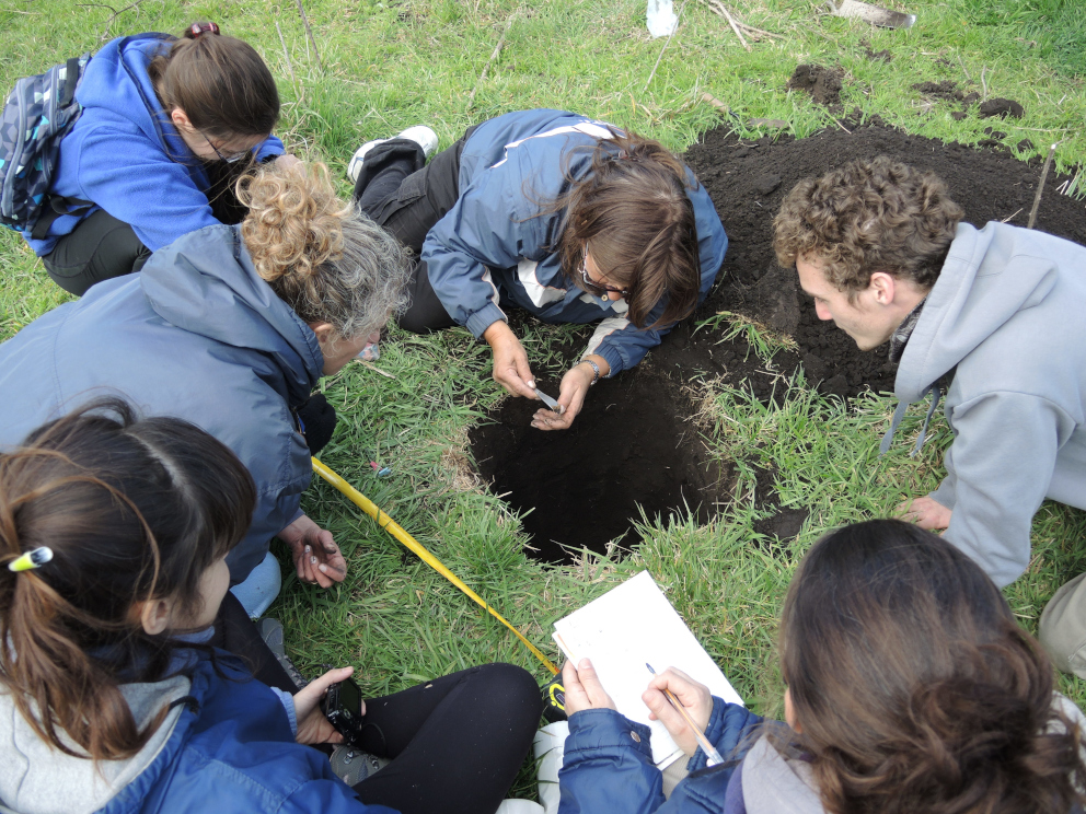Estudio de suelos-observación perfil