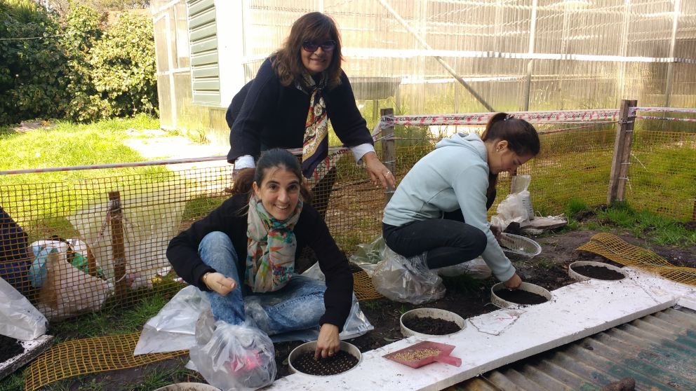 Estudio de suelos-ensayos