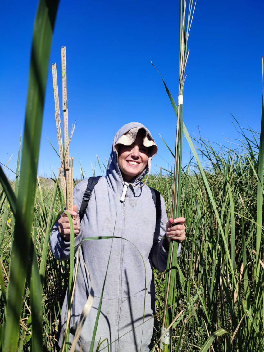 Estudio de vegetación-recolección