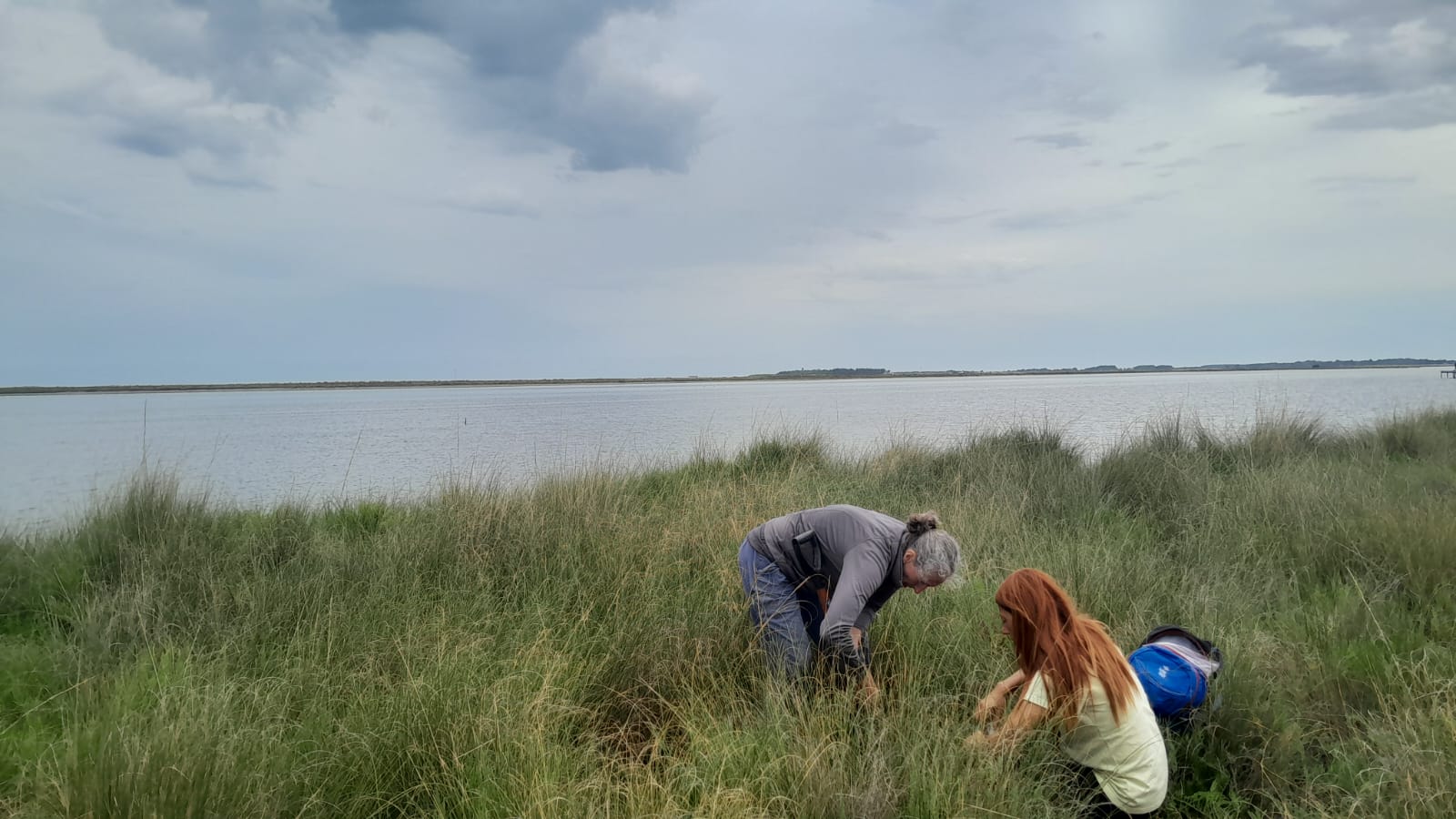Estudio de vegetación-cobertura