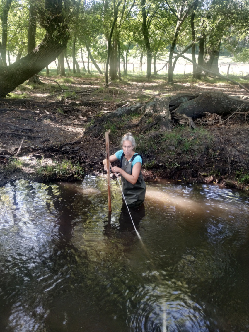 Estudio de aguas-muestreo