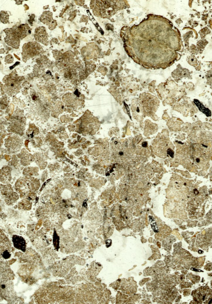 Lámina delgada micromorfología