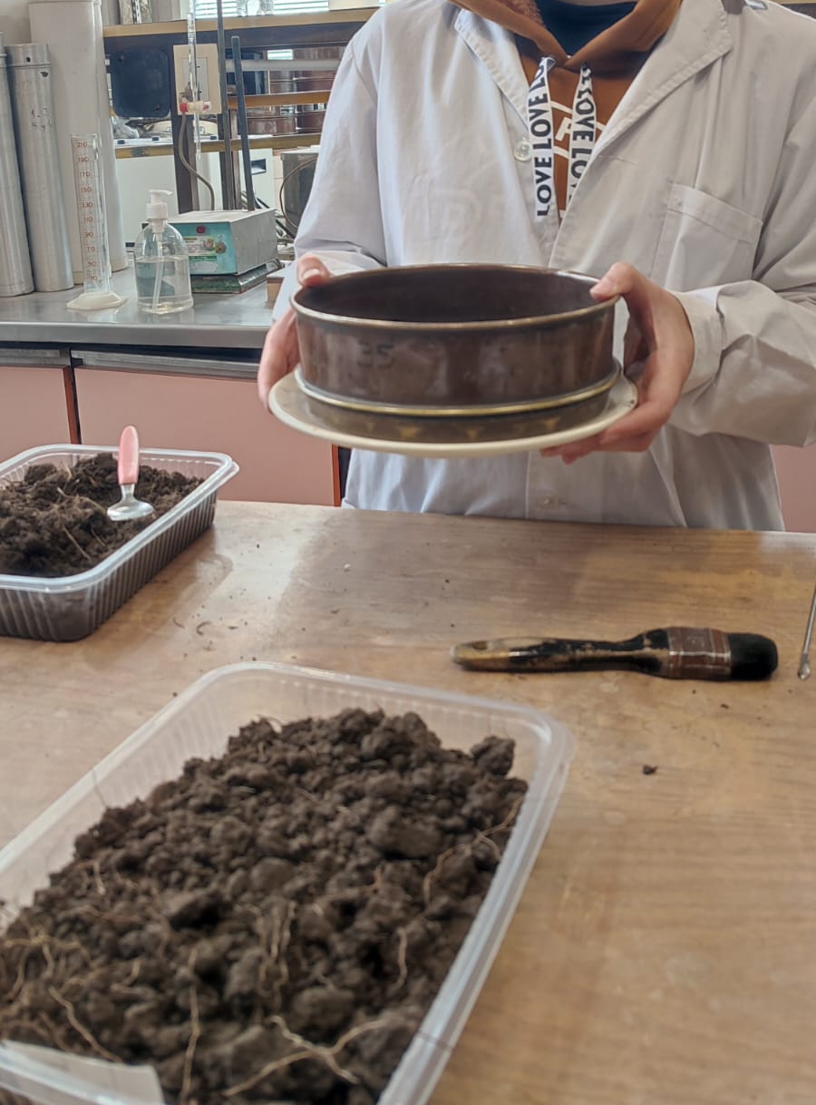 Laboratorio-tamizado