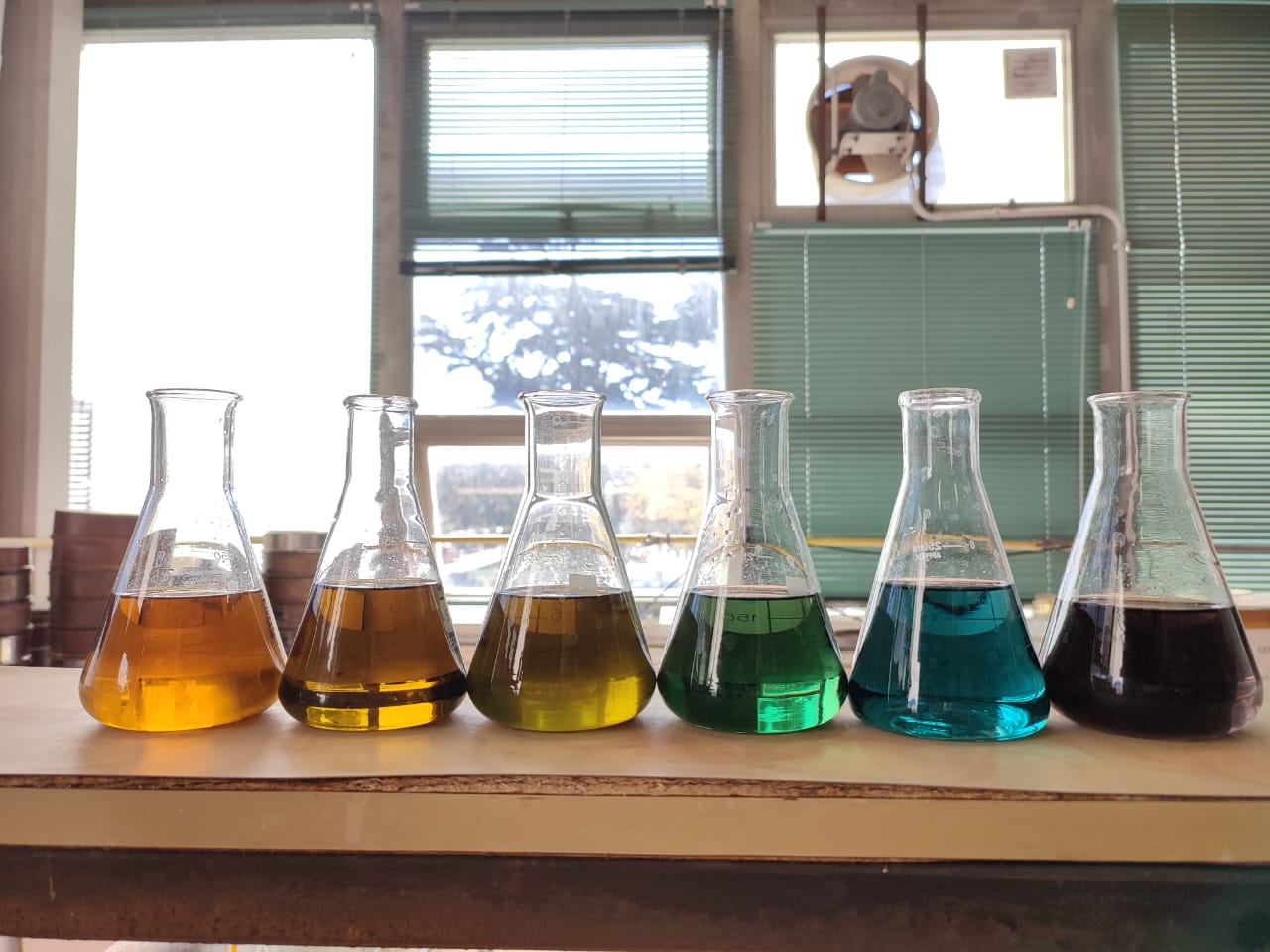 Laboratorio-materia orgánica