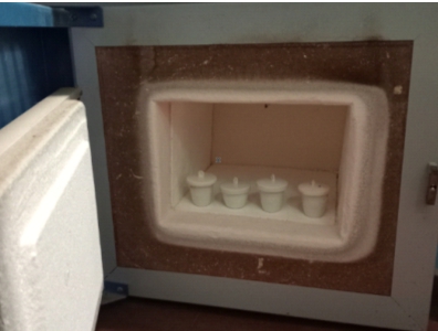 Laboratorio-Calcinado de plantas