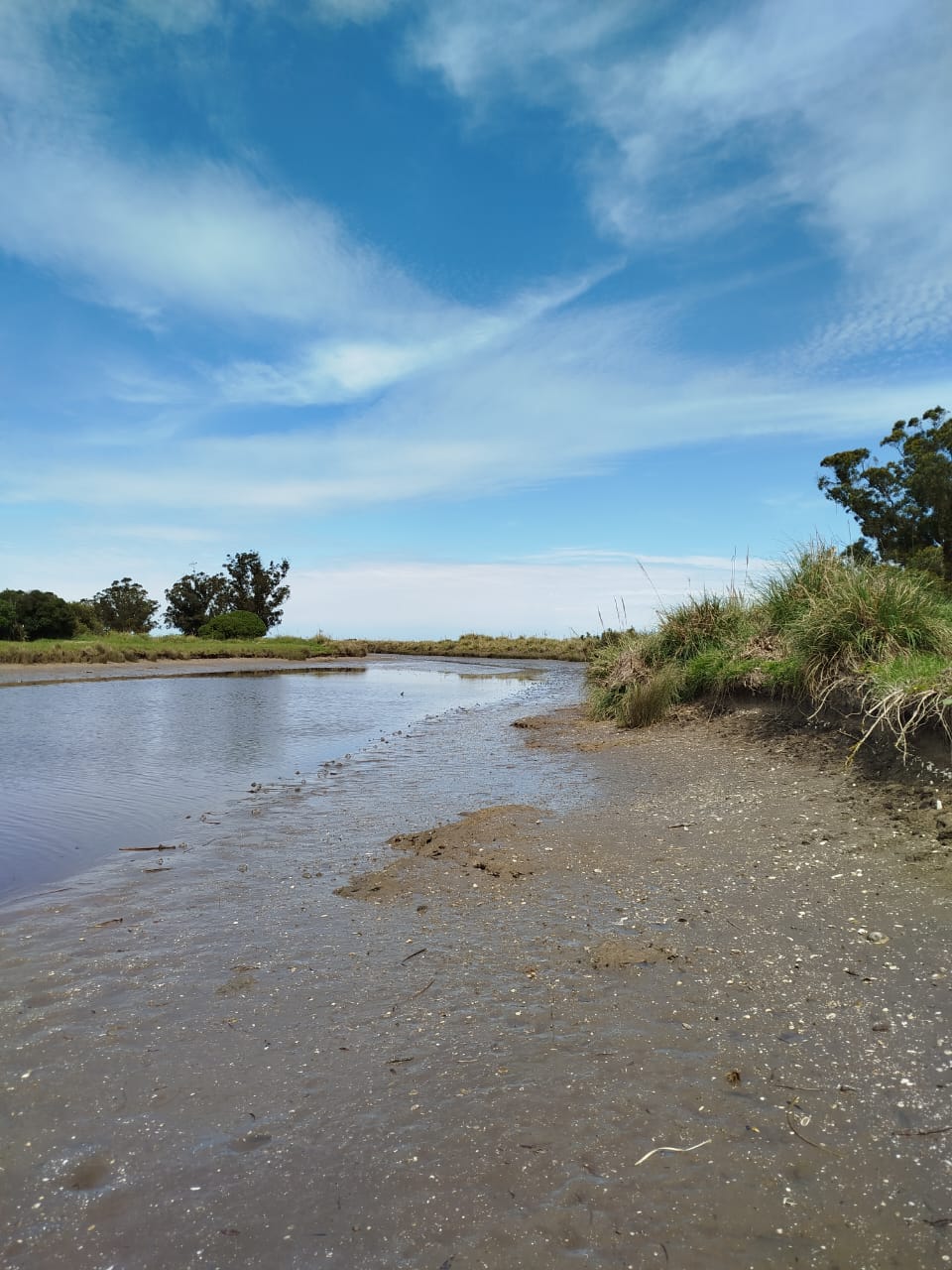 Ambiente costero-Marisma