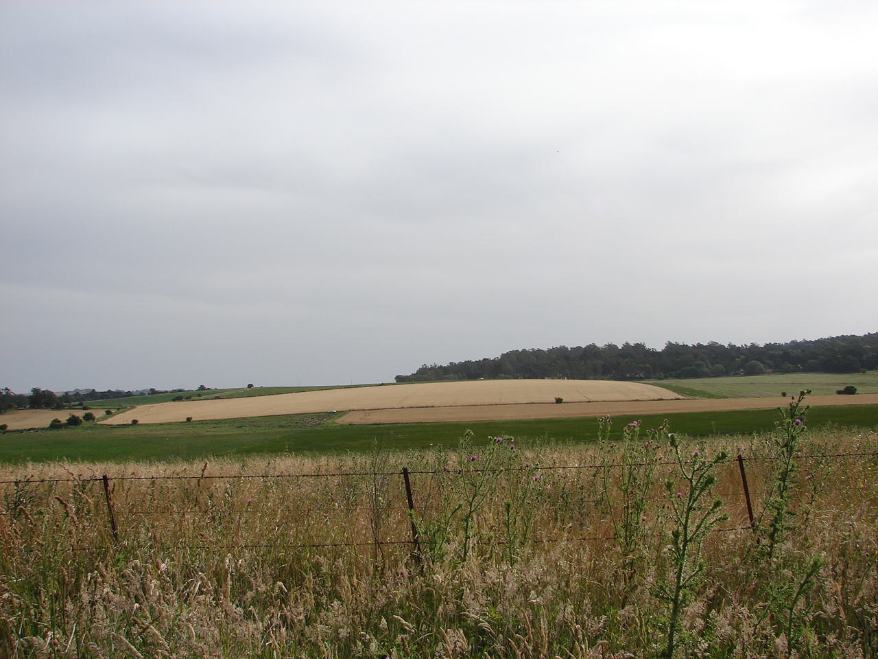 Uso de suelo agrícola