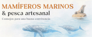 Portada Mamiferos marinos
