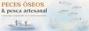 Portada Peces - Pescadilla y Corvina