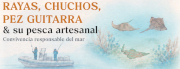Portada Rayas