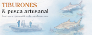 Portada Tiburones